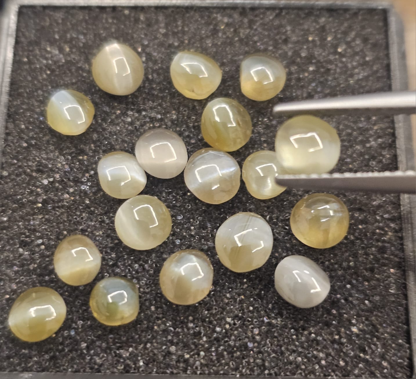 Natural Chrysoberyl Cat's Eye — Oval Cabochon Cat's-Eye
